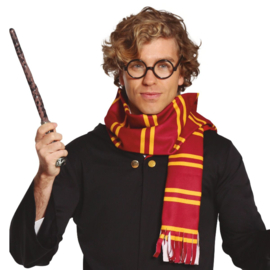 Harry Potter Set Sjaal + Bril