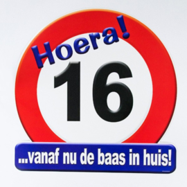 Huldeschild 16 jaar