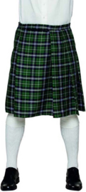 Kilt Mr Tartan groen S t/m XL 1 maat