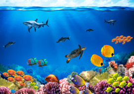 Categorie foto Onderwaterwereld