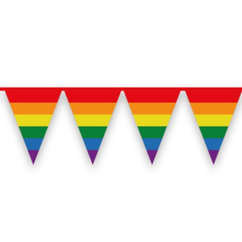 Vlaggenlijn regenboog (6m)