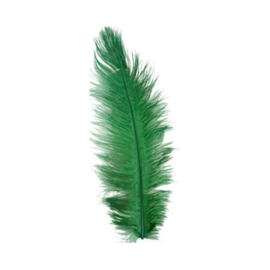 Struisveer groen (34-38cm)