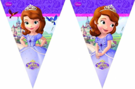 Sofia the First Vlaggenlijn 3m