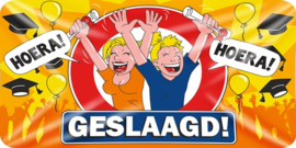 Geslaagd