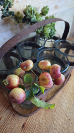 Tray met glaasjes