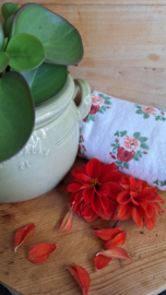 Bloempot groen