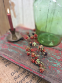 Groene gistfles