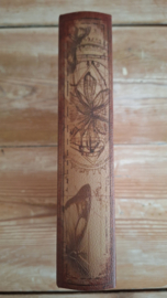 Decoratie boek Vlinder L