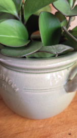 Bloempot groen