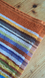 Keukendoek regenboog