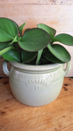 Bloempot groen