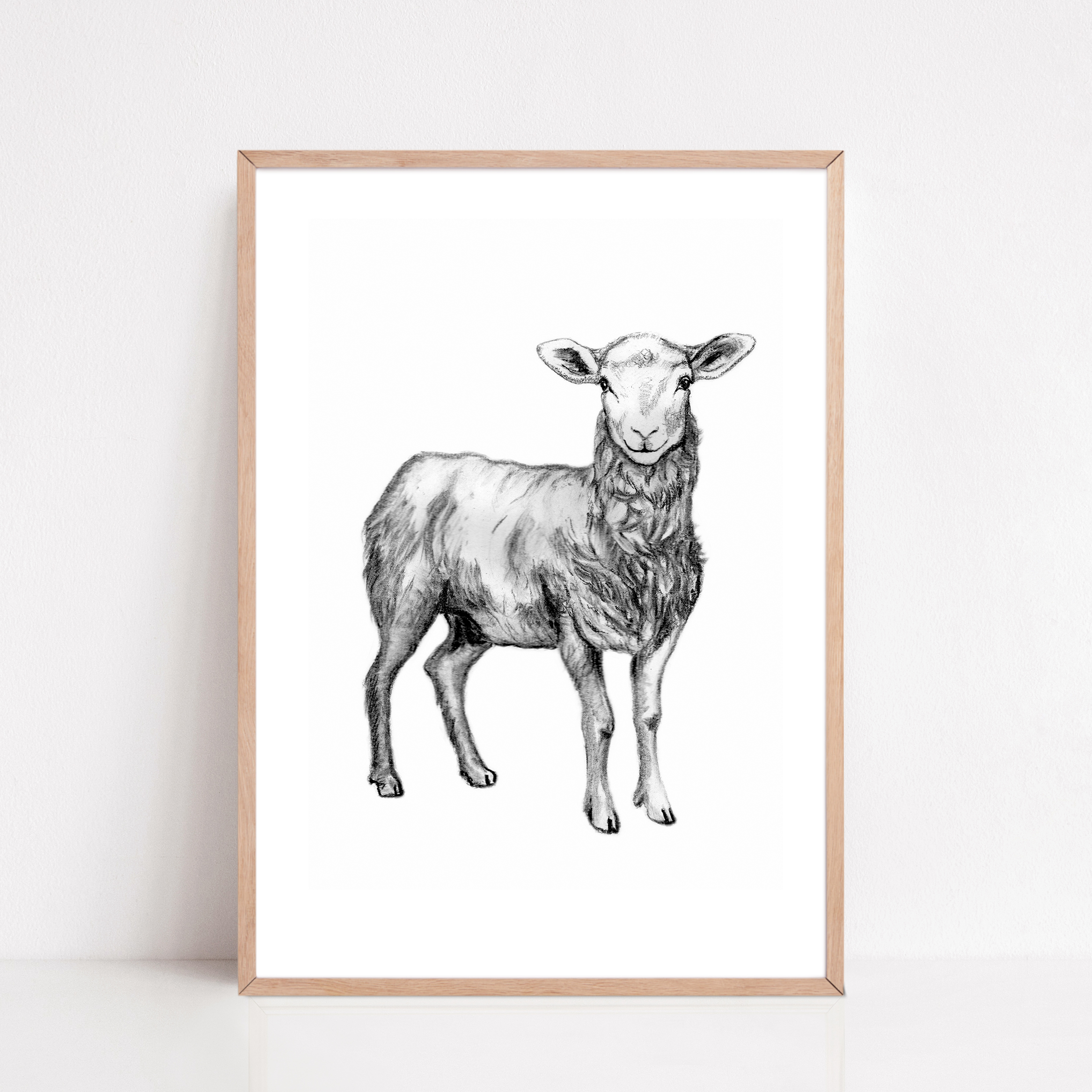Zwart-Wit Poster Schaap