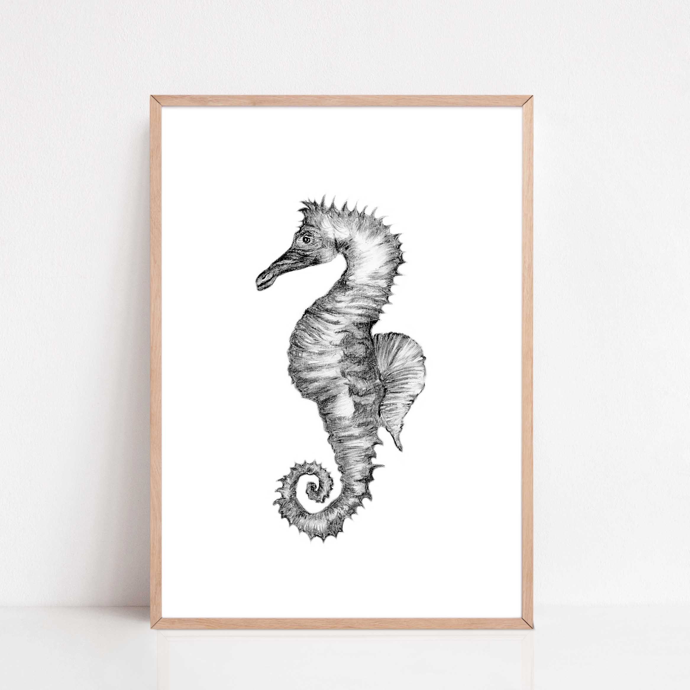 Zwart-Wit Poster Zeepaardje