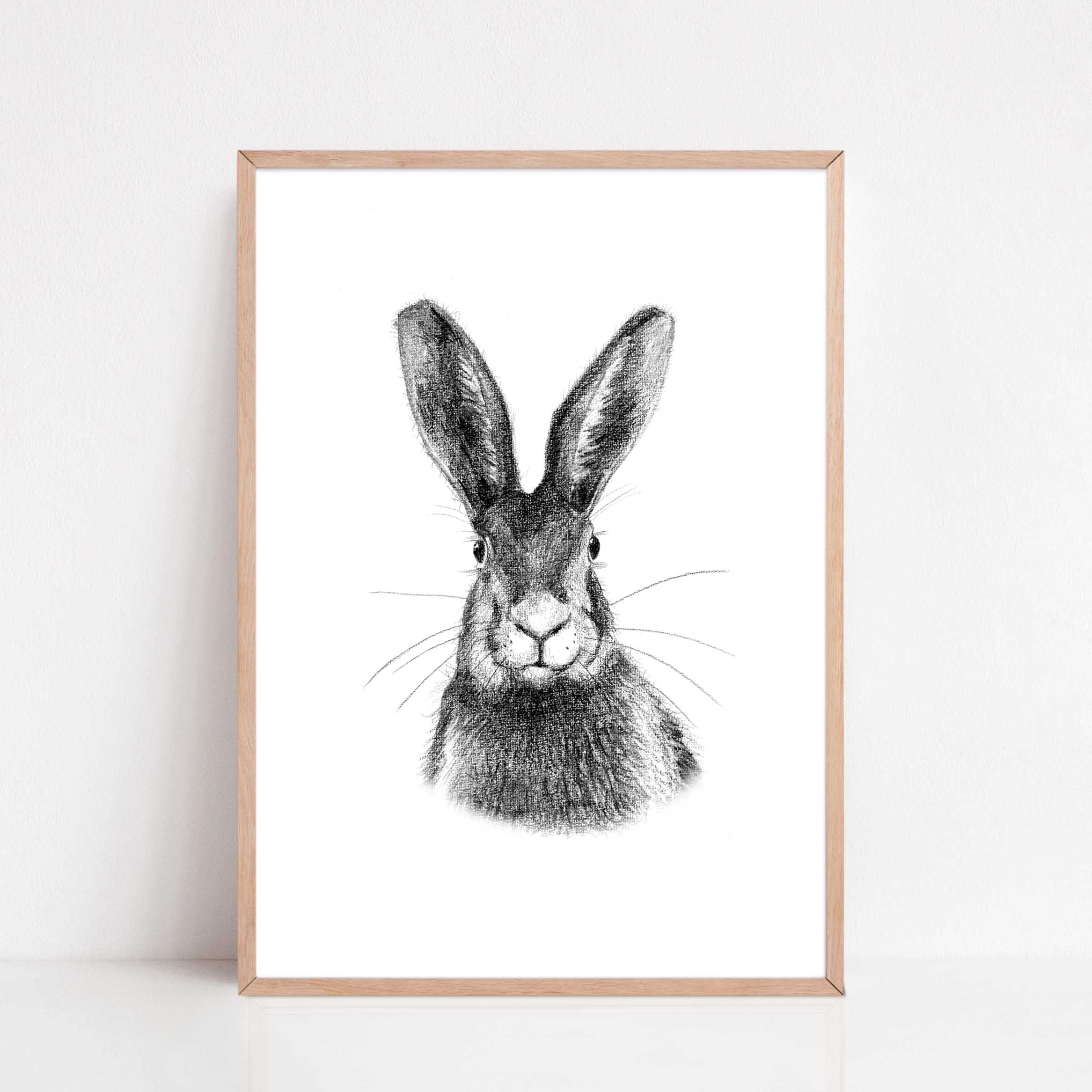 Zwart-Wit Poster Haas
