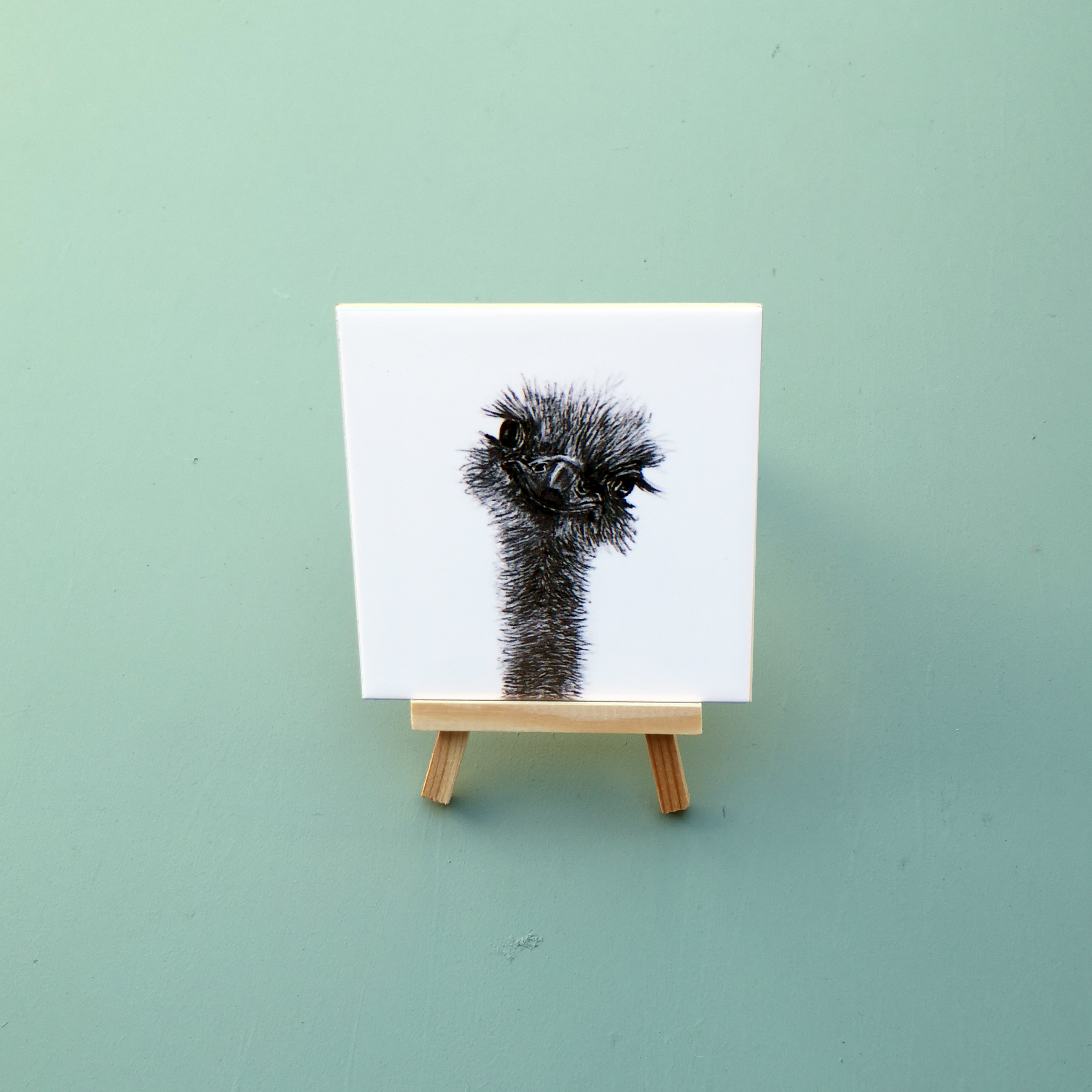 Zwart-Wit Tegeltje Struisvogel