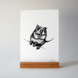 Zwart-Wit Poster Quokka
