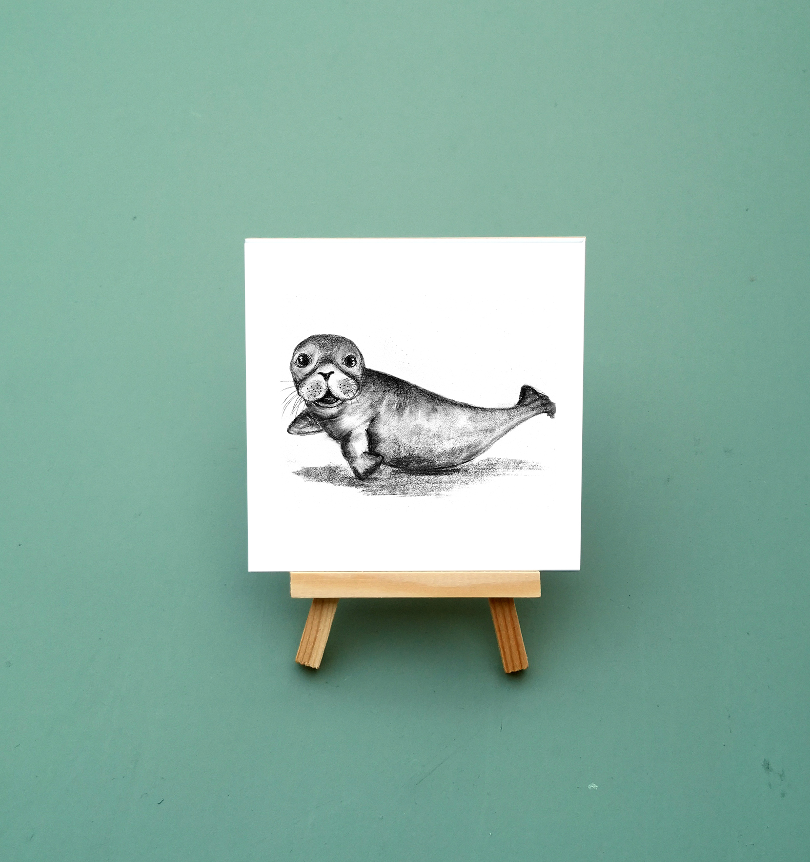 Zwart-Wit Tegeltje Zeehond