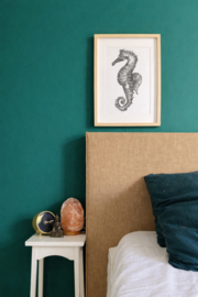 Zwart-Wit Poster Zeepaardje