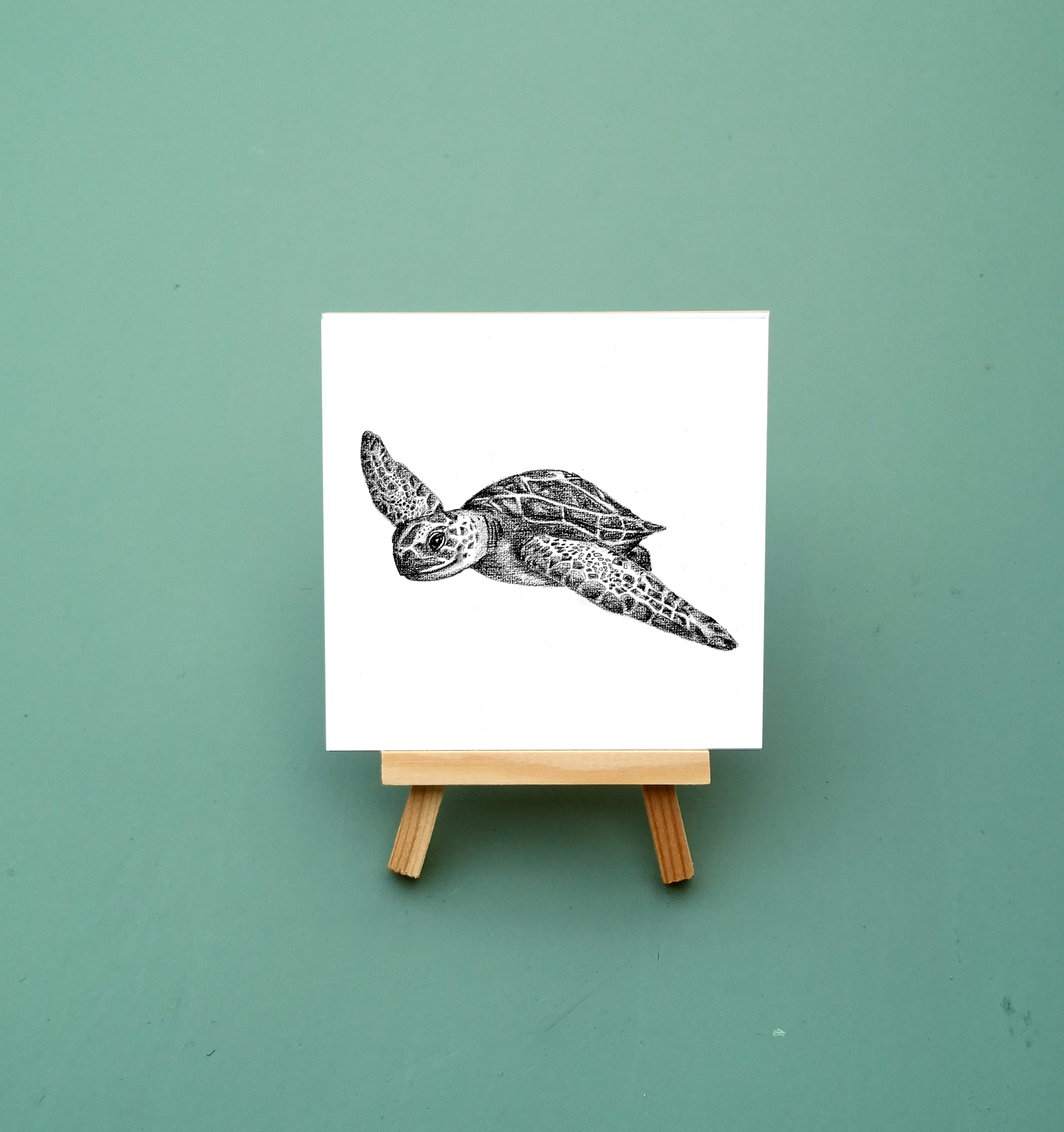 Zwart-Wit Tegeltje Schildpad