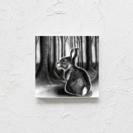 Konijn In Het Bos