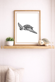Zwart-Wit Poster Schildpad