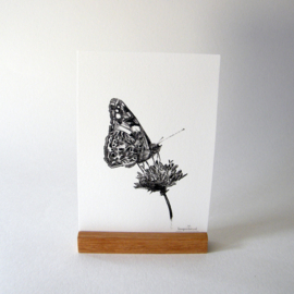 Zwart-Wit Poster Vlinder