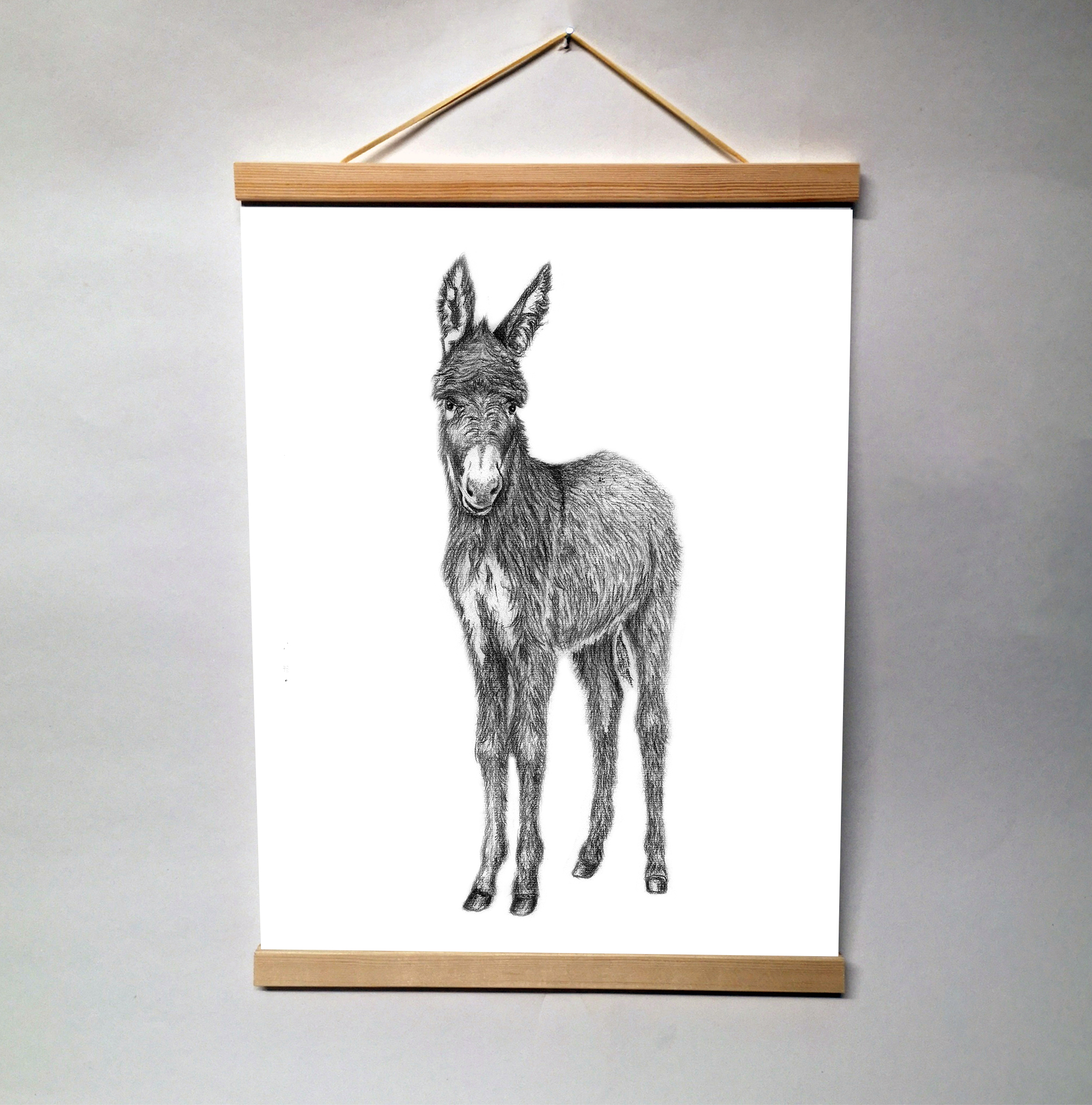 Zwart-Wit Poster Ezel