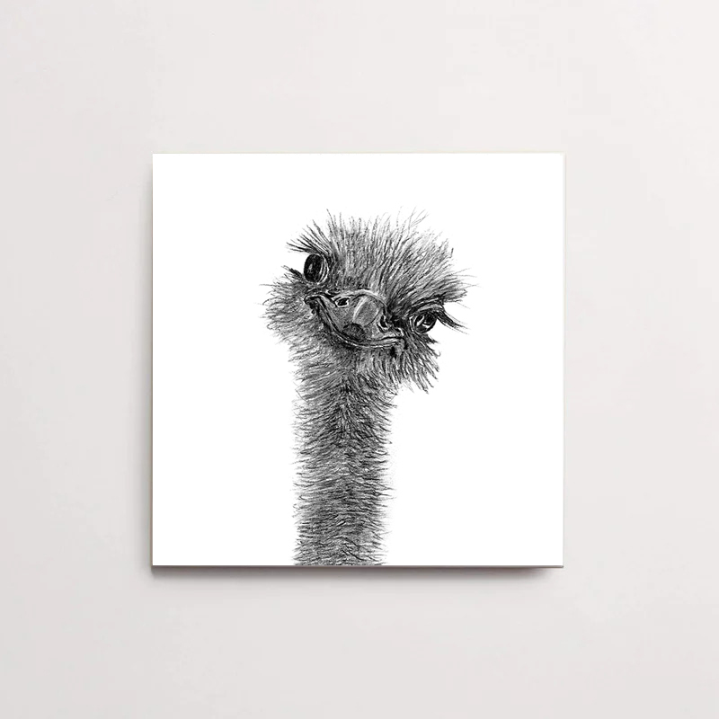 Zwart-Wit Tegeltje Struisvogel