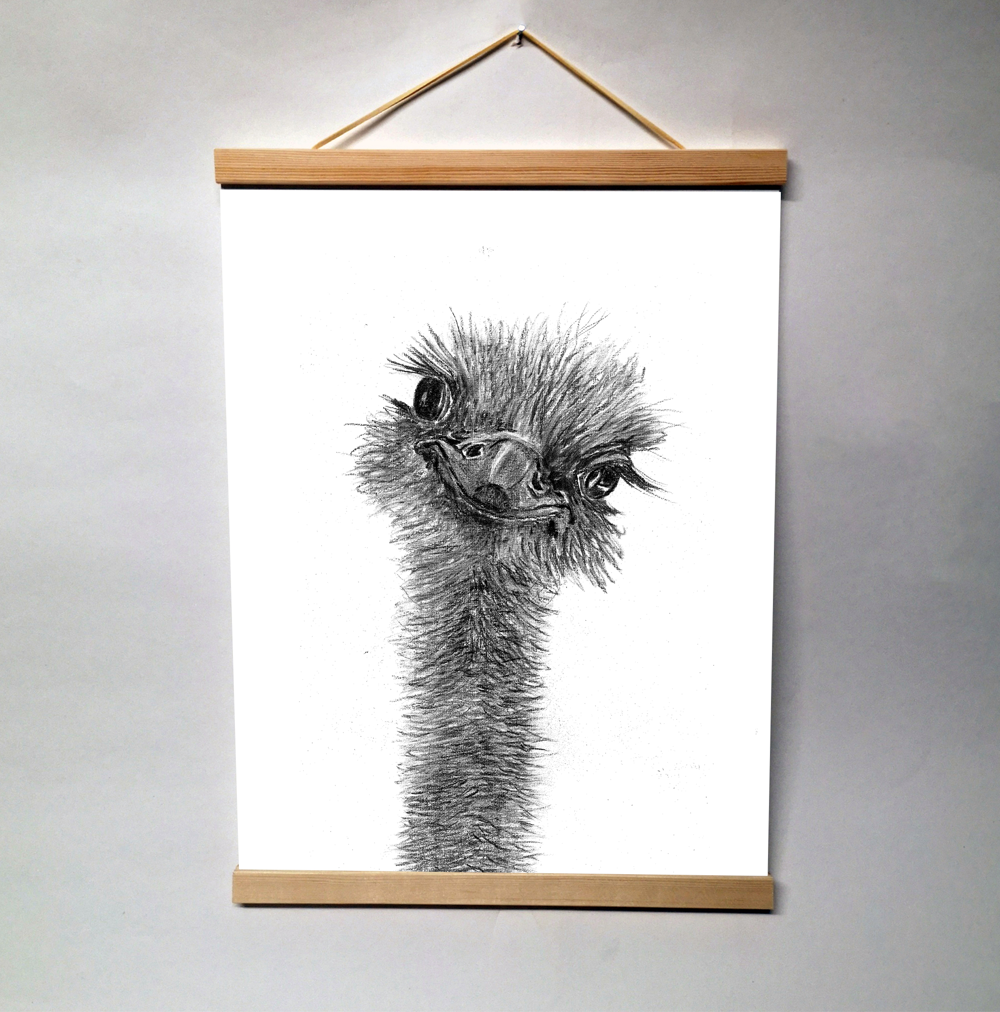 Zwart-Wit Poster Struisvogel