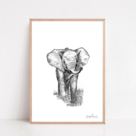 Zwart-Wit Poster Olifant