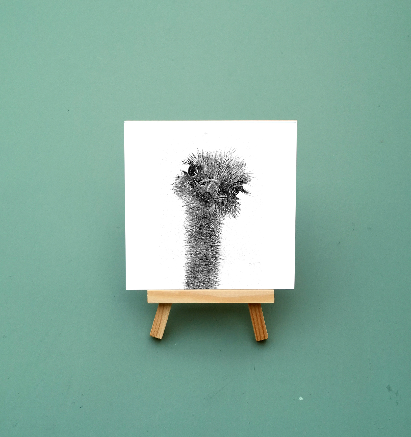 Zwart-Wit Tegeltje Struisvogel