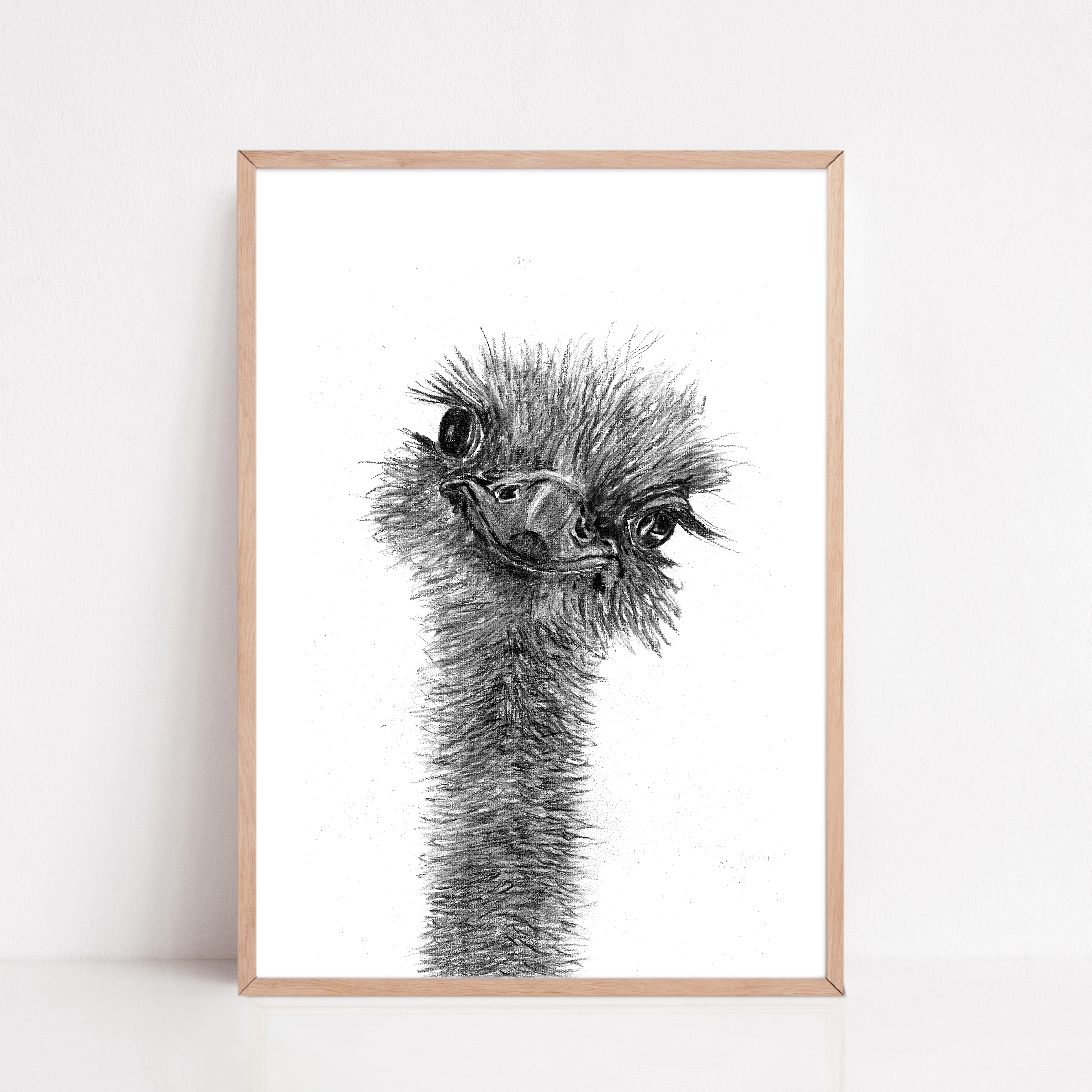 Zwart-Wit Poster Struisvogel