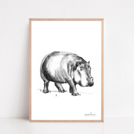 Zwart-Wit Poster Nijlpaard