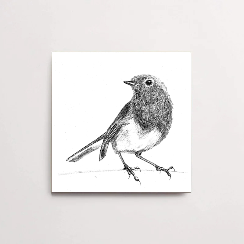 Zwart-Wit Tegeltje Roodborst