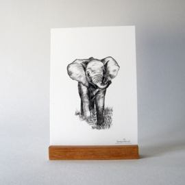 Zwart-Wit Poster Olifant