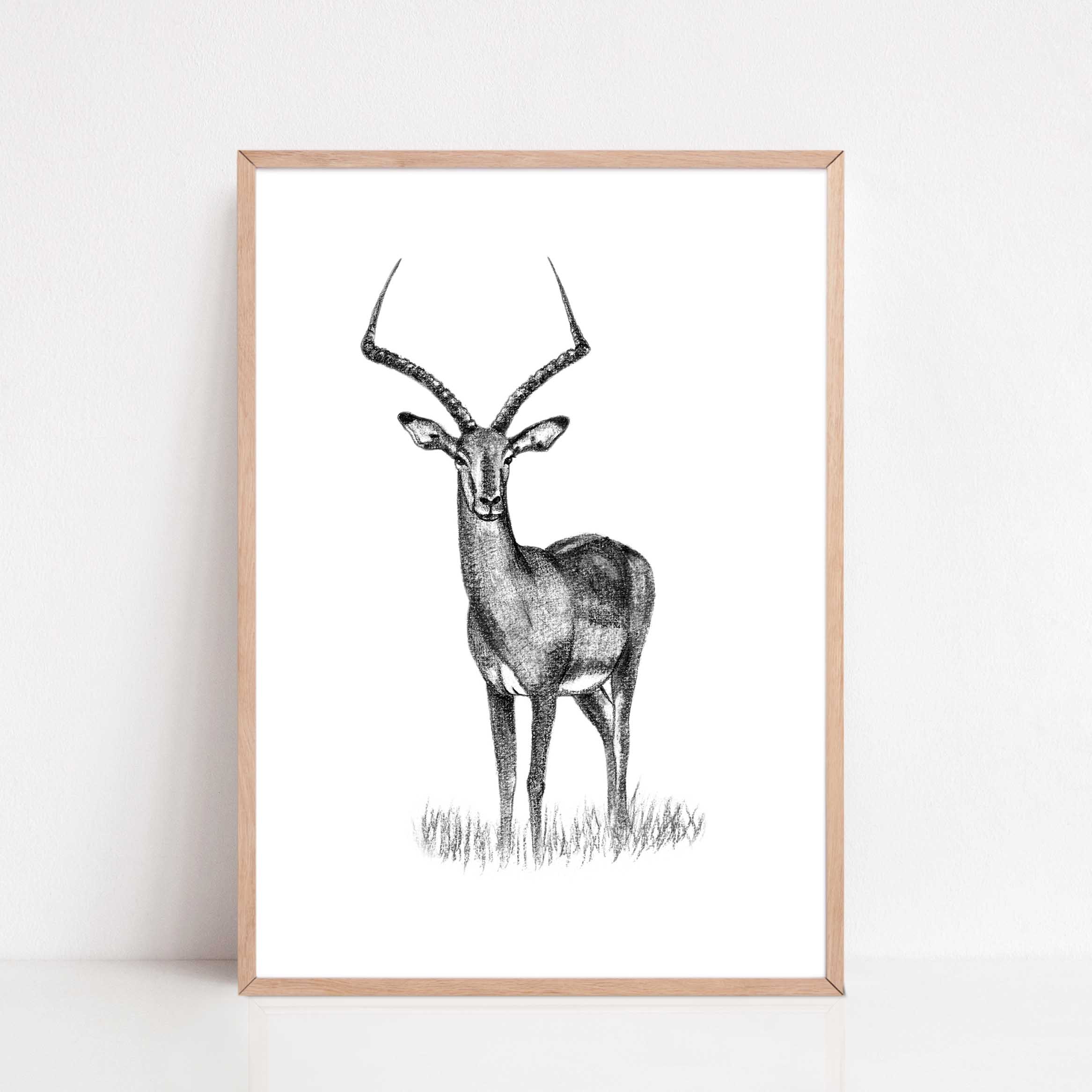 Zwart-Wit Poster Impala