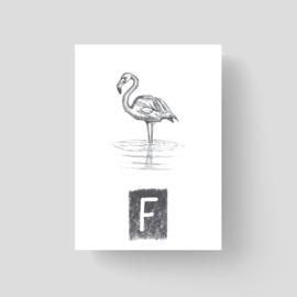 ABCkaart Flamingo