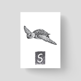 ABCKaart Schildpad