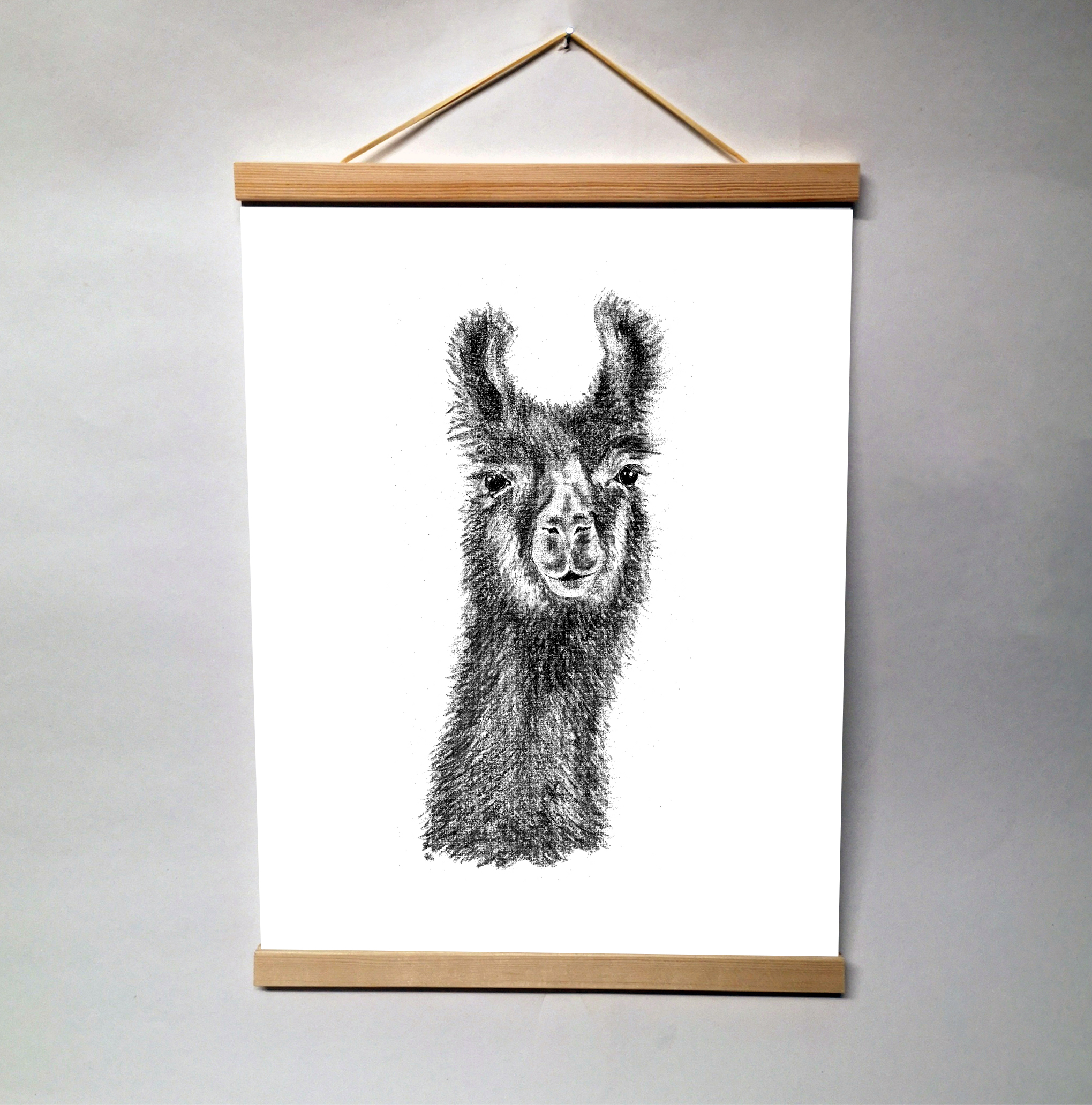Zwart-Wit Poster Alpaca
