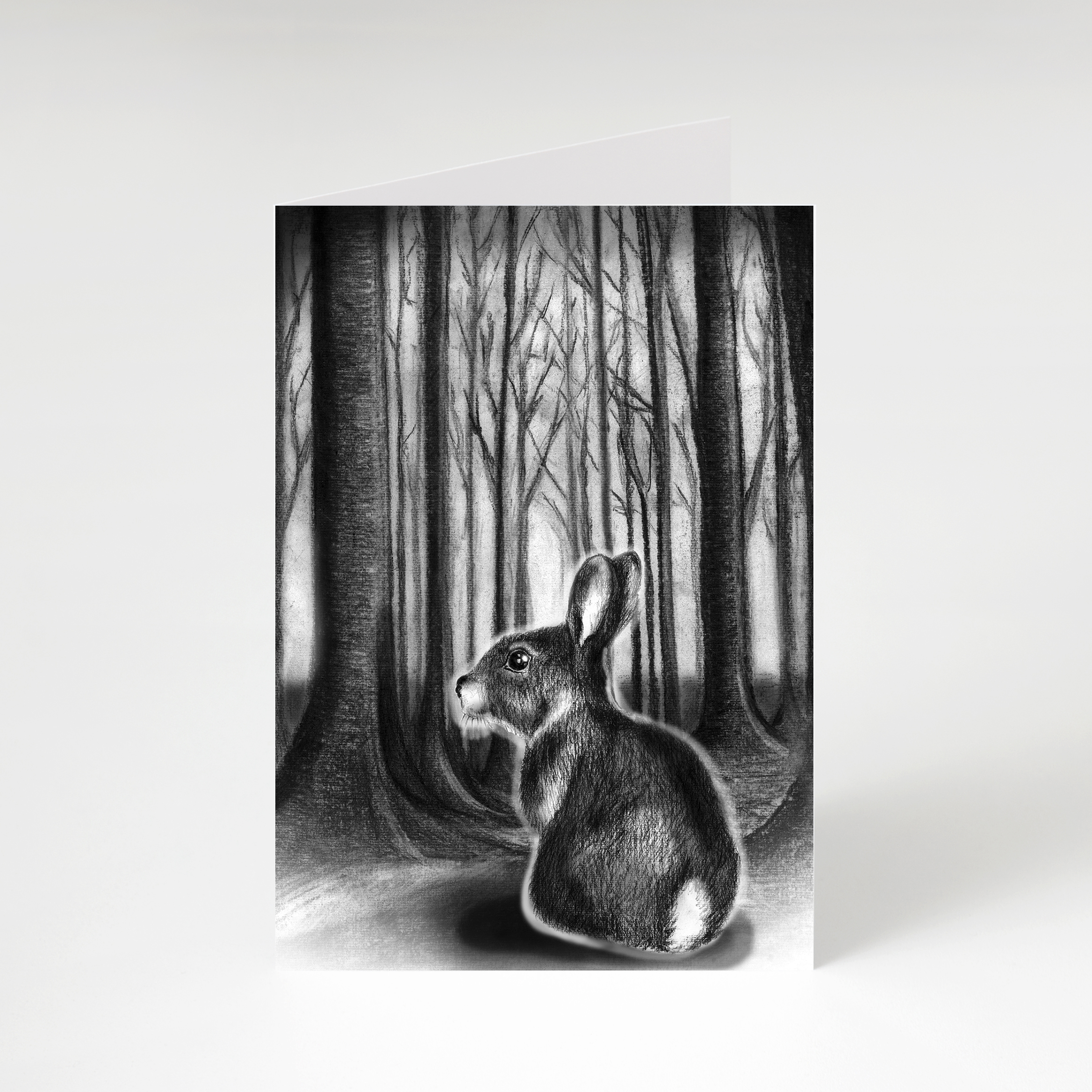 Dieren Met Achtergrond set