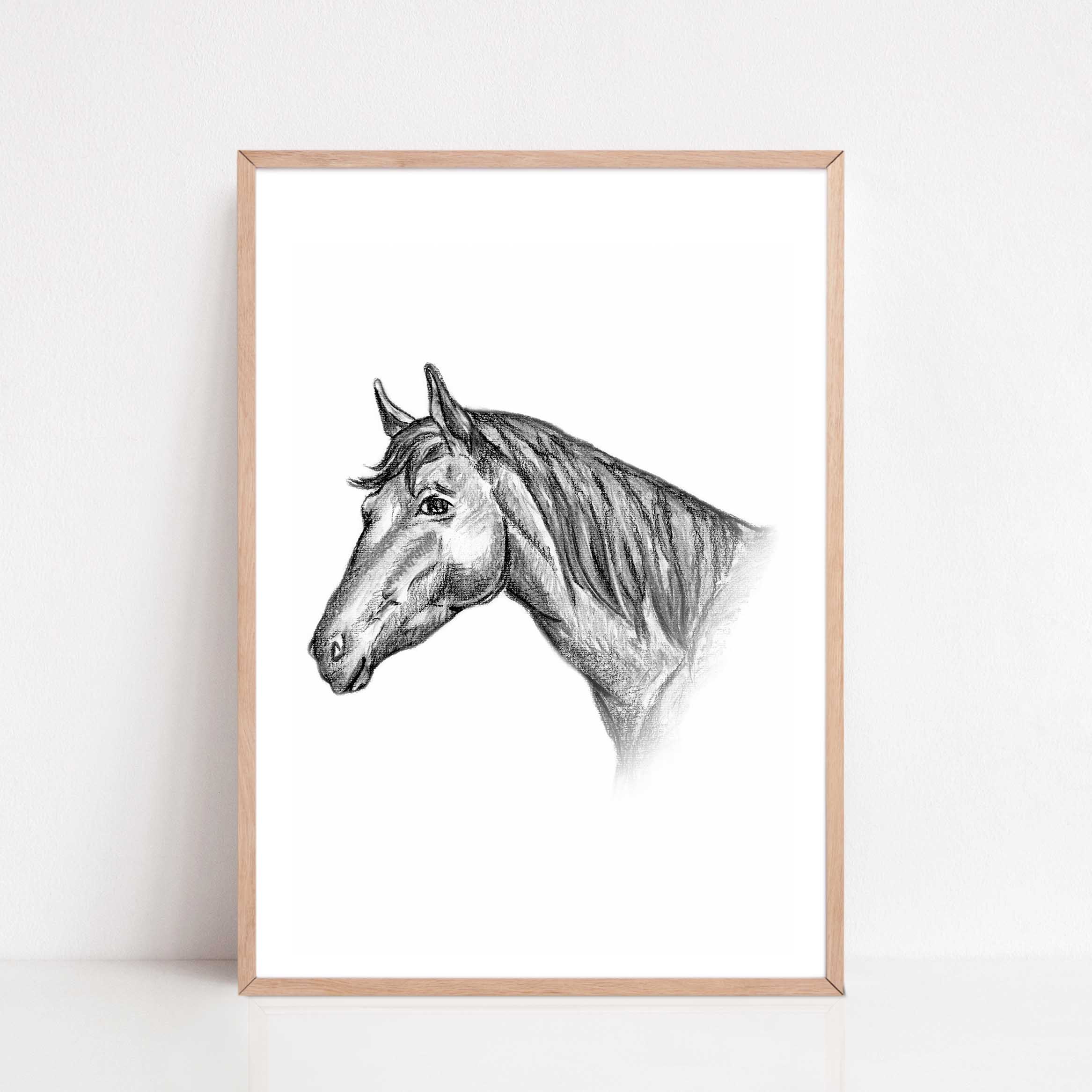 Zwart-Wit Poster Paard