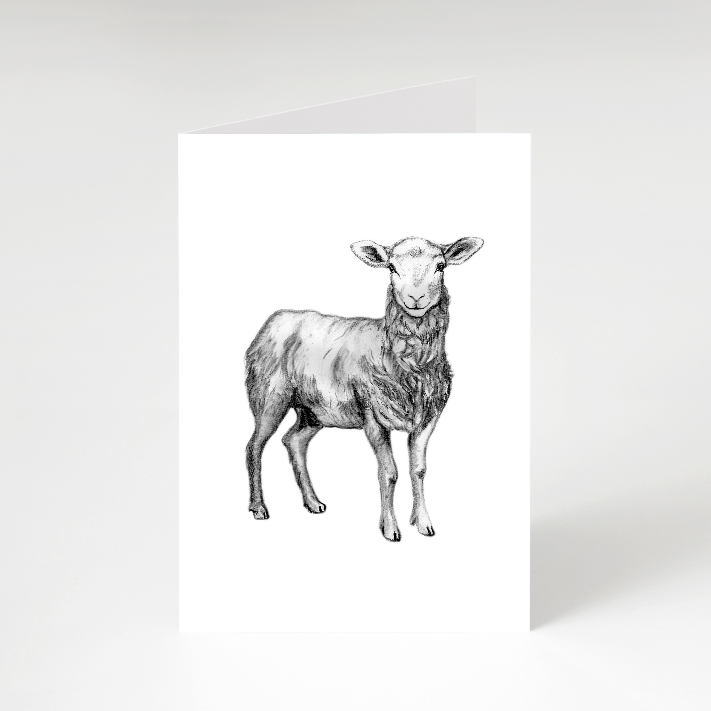 Zwart-Wit Wenskaart Schaap