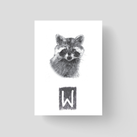 ABCKaart Wasbeer