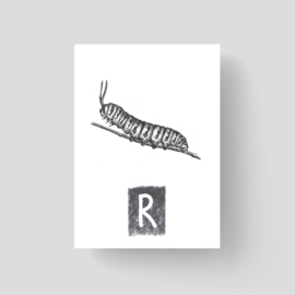 ABCKaart Rups
