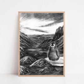 Zwart-Wit Poster Pinguïn Op IJsschots