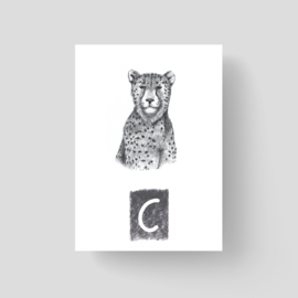 ABCkaart Cheetah