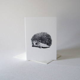 Zwart-Wit Wenskaart Egel