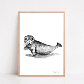 Zwart-Wit Poster Zeehond