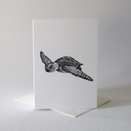 Zwart-Wit Wenskaart Schildpad