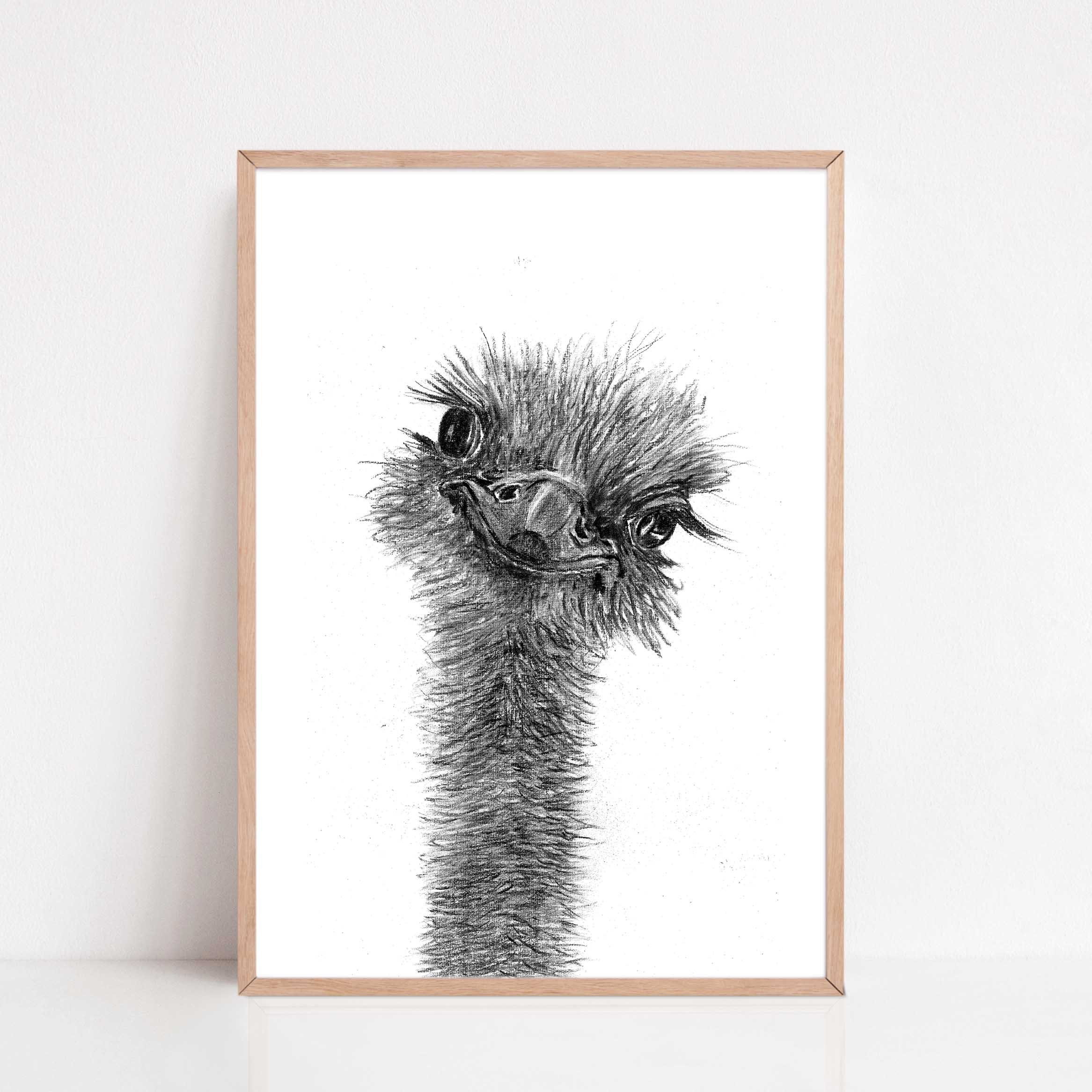 Zwart-Wit Poster Struisvogel